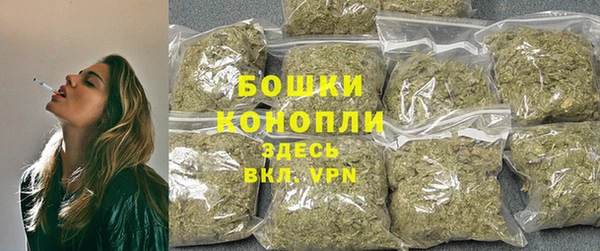 ПСИЛОЦИБИНОВЫЕ ГРИБЫ Богородск