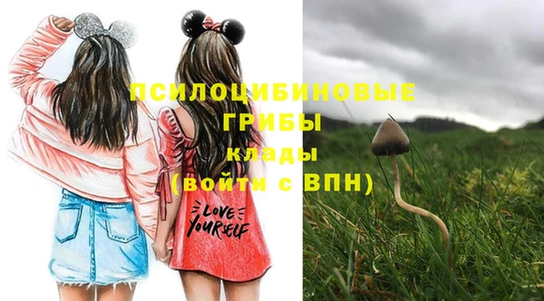 экстази Белокуриха