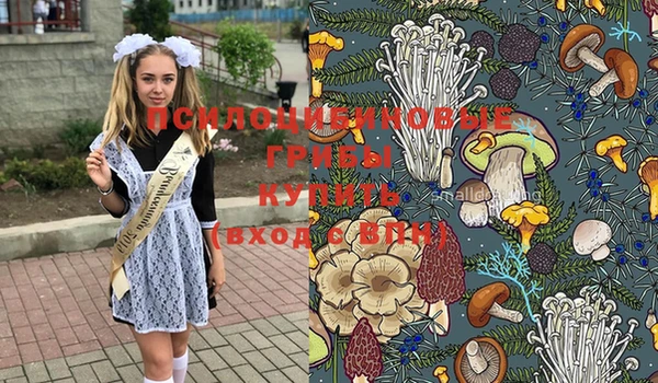 гидропоника Богородицк