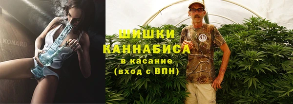 ПСИЛОЦИБИНОВЫЕ ГРИБЫ Богородск