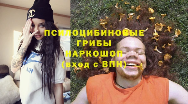 бошки Слюдянка